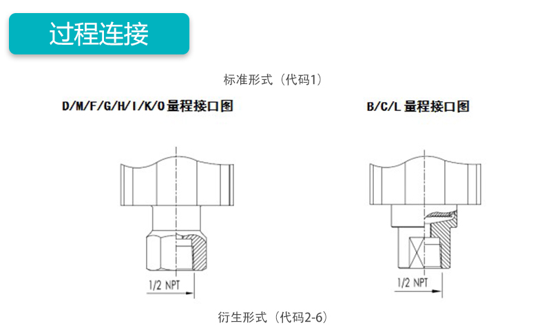 MIK-P3000表压/绝压变送器过程连接